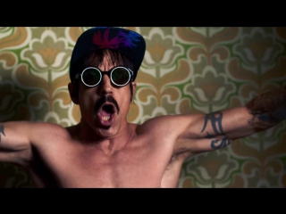 Red hot chili peppers dark necessities