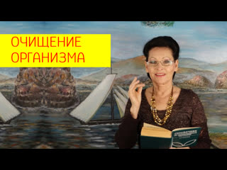 Как очистить организм от гельминтов и паразитов? простые шаги для чистки организма галина гроссманн