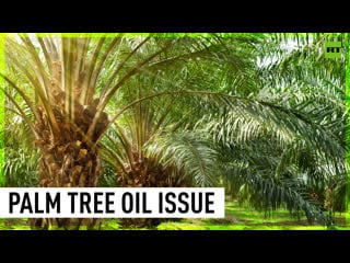 Farmers in malaysia, indonesia concerned over new eu deforestation law