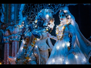 Celebrating janmashtami and srila prabhupada vyasa puja