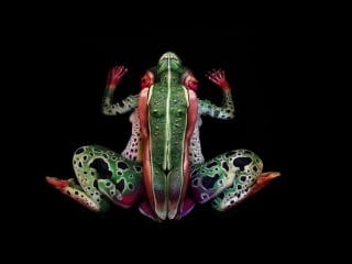 The frog fine art bodypainting by johannes stötter