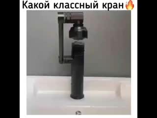 Lifexak video 20200824 3 mp4