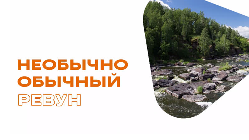 Необычно обычный ревун