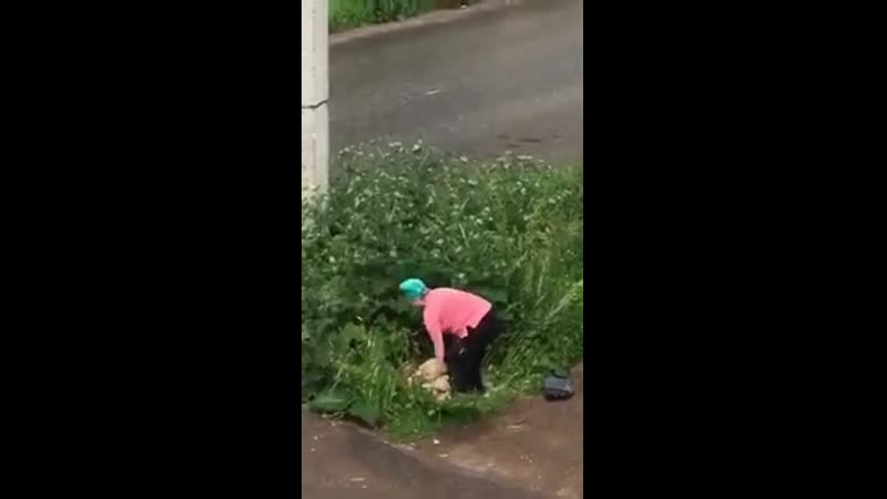 Пенсионерка избила доской занимавшуюся сексом в кустах парочку