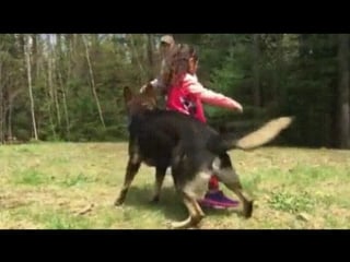 Защищает свою маленькую хозяйку