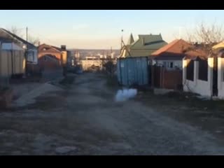 Петарда gorilla boom