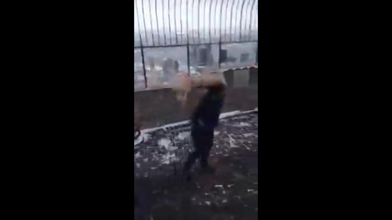 Вингардиум левиосса