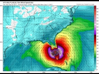 It looks like irma is projected to have sex with florida