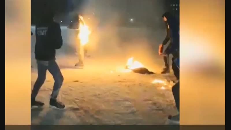 Молодые обливают бензином и поджигают