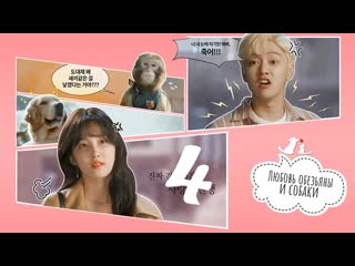 [mania] 04/10 [720] любовь обезьяны и собаки / monkey and dog romanc