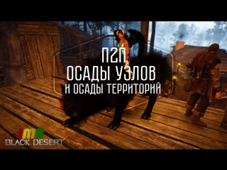 Black desert хроники п2п осады узлов и анонс территорий