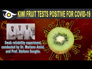 🥝 kiwi fruit tests positive for covid19 swab reliability experiment conducted by dr mariano amici & prof stefano scoglio