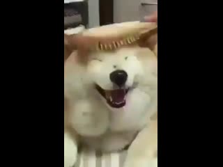 Jimin, manager by porn ⁺¹⁸