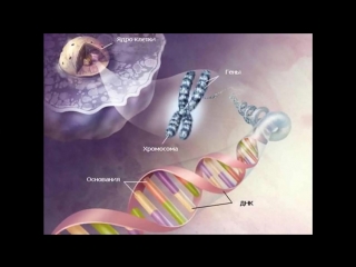 Мараховская татьяна а что, если мы все мутанты