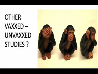 Dr paul thomas blows up the conventional vaccine narrative