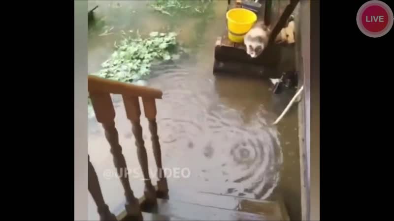 Когда голоден