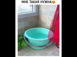 Lifexak video 20200726 8 mp4