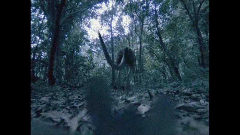 Прогулянки з чудовиськами 1 серія