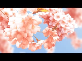 Bloom [kizumonogatari amv] [2023 rearrange]