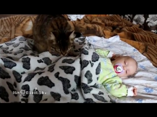 Cat lulling a baby кошка убаюкала ребенка