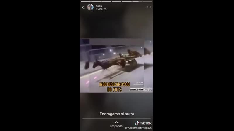 Осёл под допингом