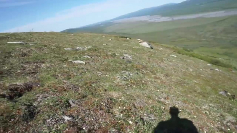 Когда на тебя бежит медведь, орать и материться хорошая тактика