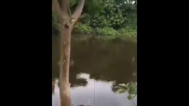 Оригинальный способ рыбалки