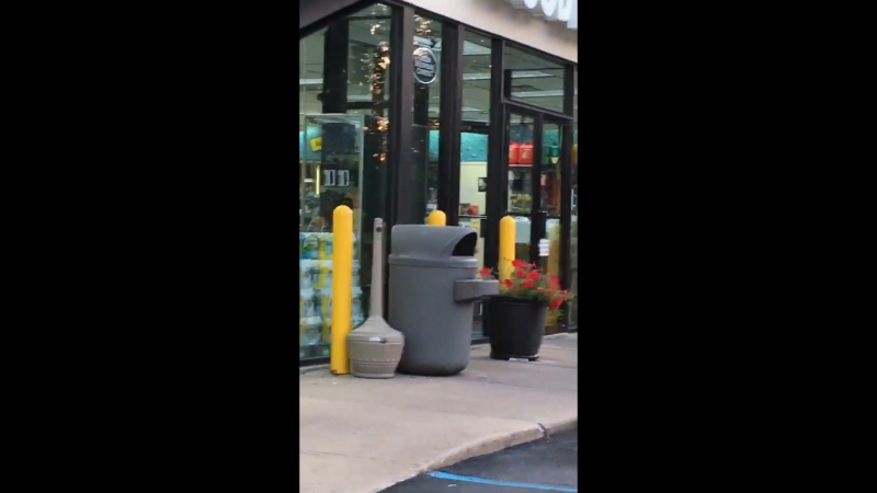 Нетерпеливая молодые в машине жала на гудок, чтобы хозяйка быстрее вернулась из магазина