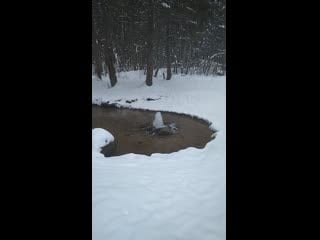 Видео от полины вовиной