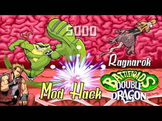 Battletoads & double dragon on ragnarok (nes hack) [feat vasek retro]