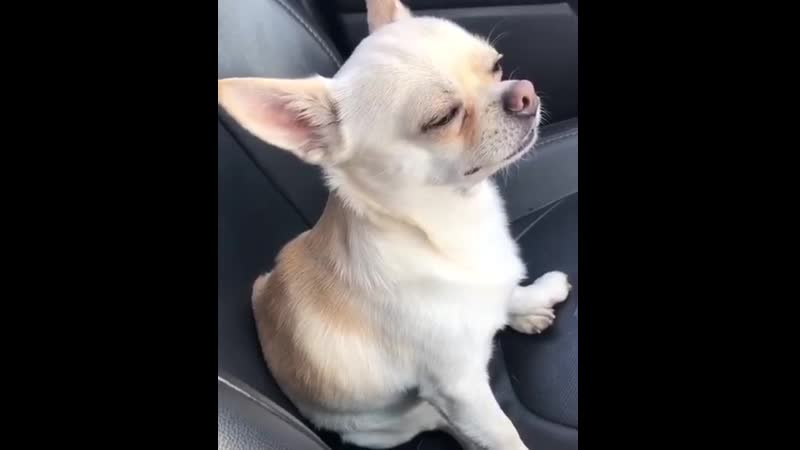 Когда заиграл любимый трек