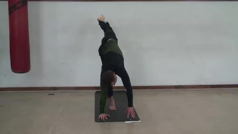 [артур паталах] 20 основных асан хатха йоги
