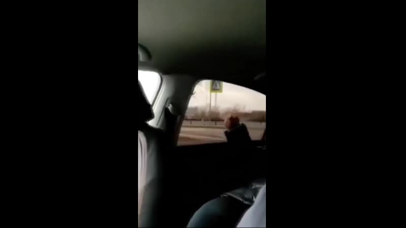 Очередная таксишная хамка