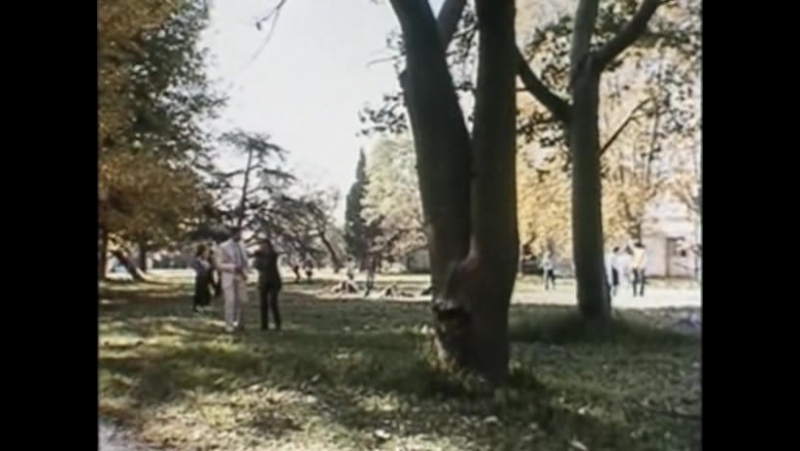 Las colegialas (1986)