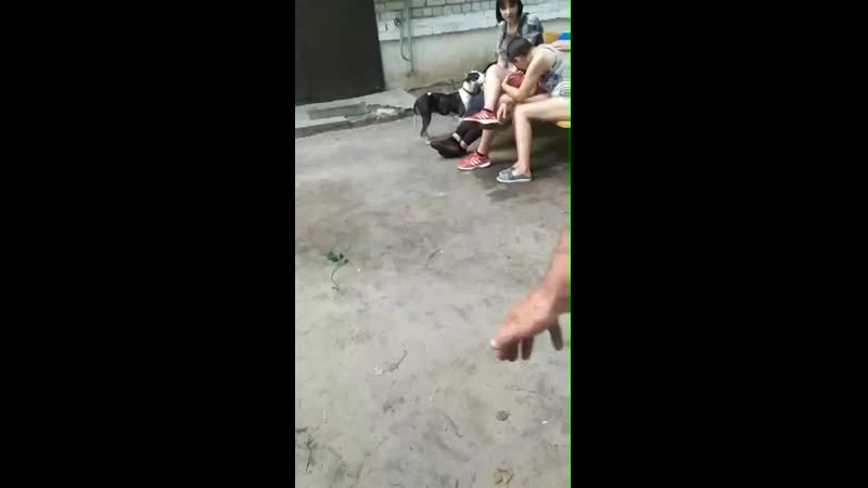 В балахне (нижегородская область) местная жительница ирина устала от алкашей