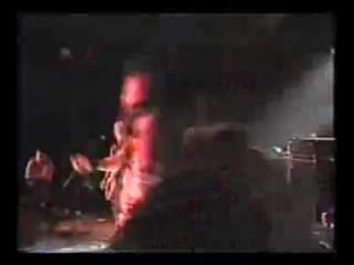 Pure punk rock various artists (cheap sex, havoc, the virus, l0wer class brats, the casualties, the scarred, action, defiance)