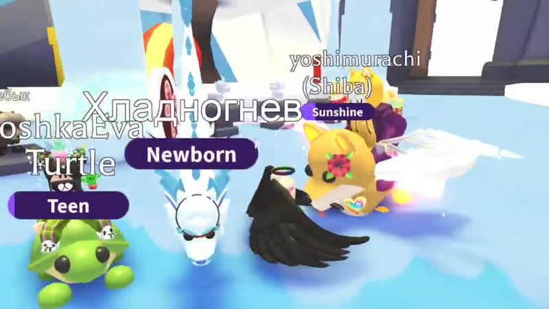 [ulyankarainbow] новогоднее обновление в адопт! купили фурию! roblox adopt me