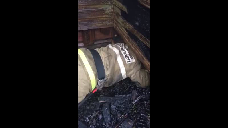 Пожарные спасли котёнка (новая ладога)