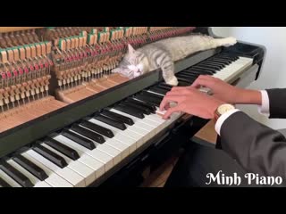 Beethoven für elise