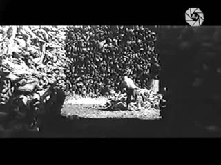 Ташкент – город хлебный (1967) драма, экранизация шухрат аббасов 1080p