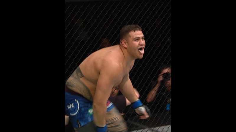 Лучшие финиши участников ufc 264