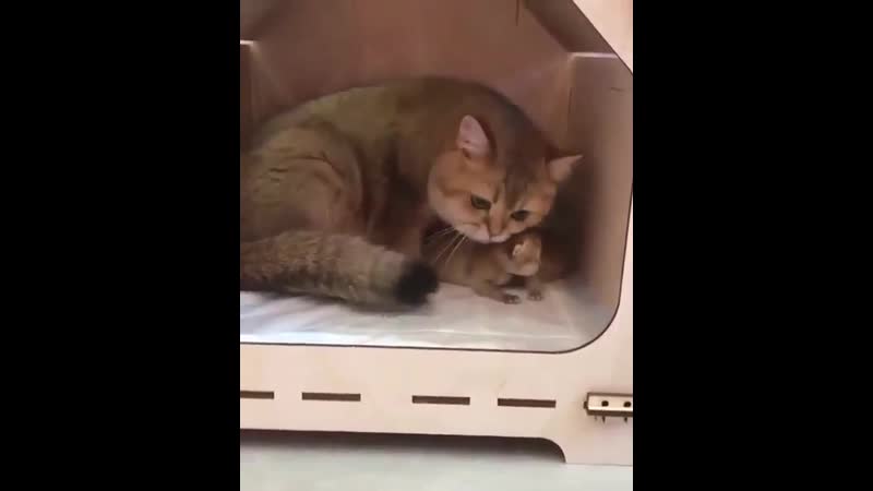 Переехала к мужу))