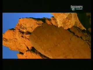 Рэй мирс австралийские прерии