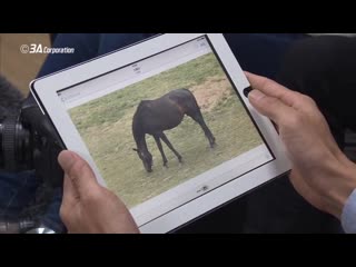 18 minna no nihongo second edition