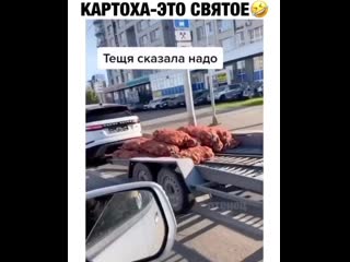 Картоха это святое