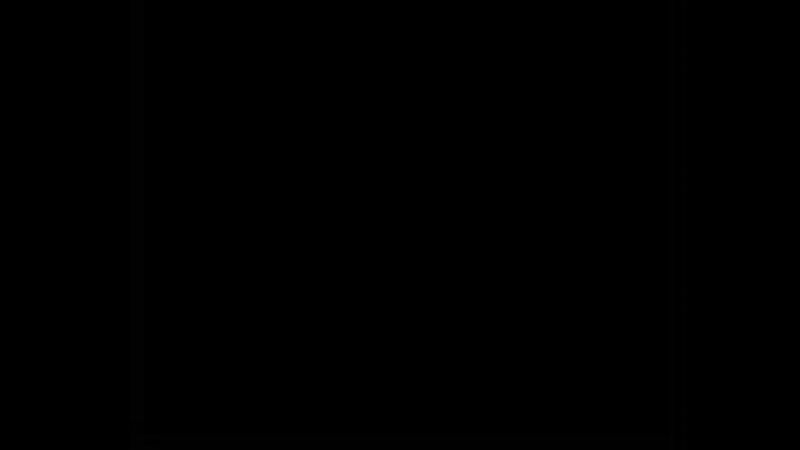 Дана скалли 2008