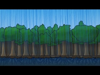 Почему дождь следует за лесом (minute earth)