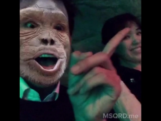 Msqrd monkey and моля