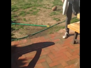 Mom shows porn the proper way to release their butterfly (formerly their caterpillar)