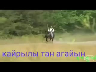 Видео от айнаш тұрысбек